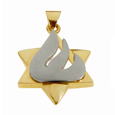 14K Star of David with white Gold "El-Shaddai"