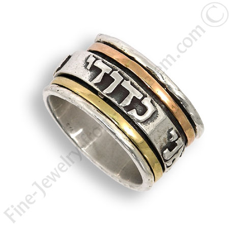 Silver and Gold Dynamic ring