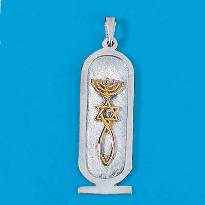 Grafted in + kartush pendant