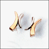 Silver and Gold earrings