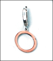 Silver and Gold earrings